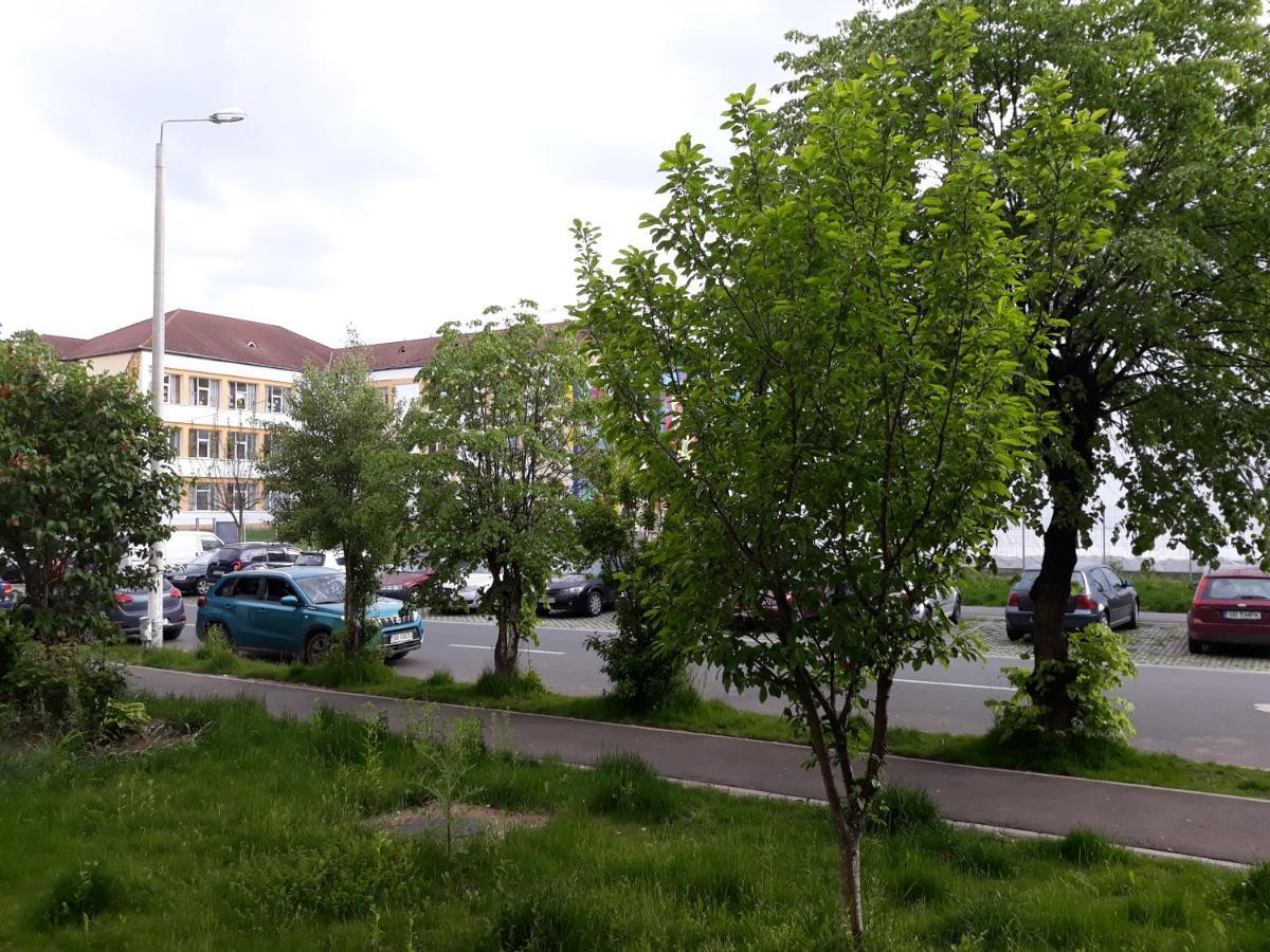 Sibiu Home 1 Eksteriør billede