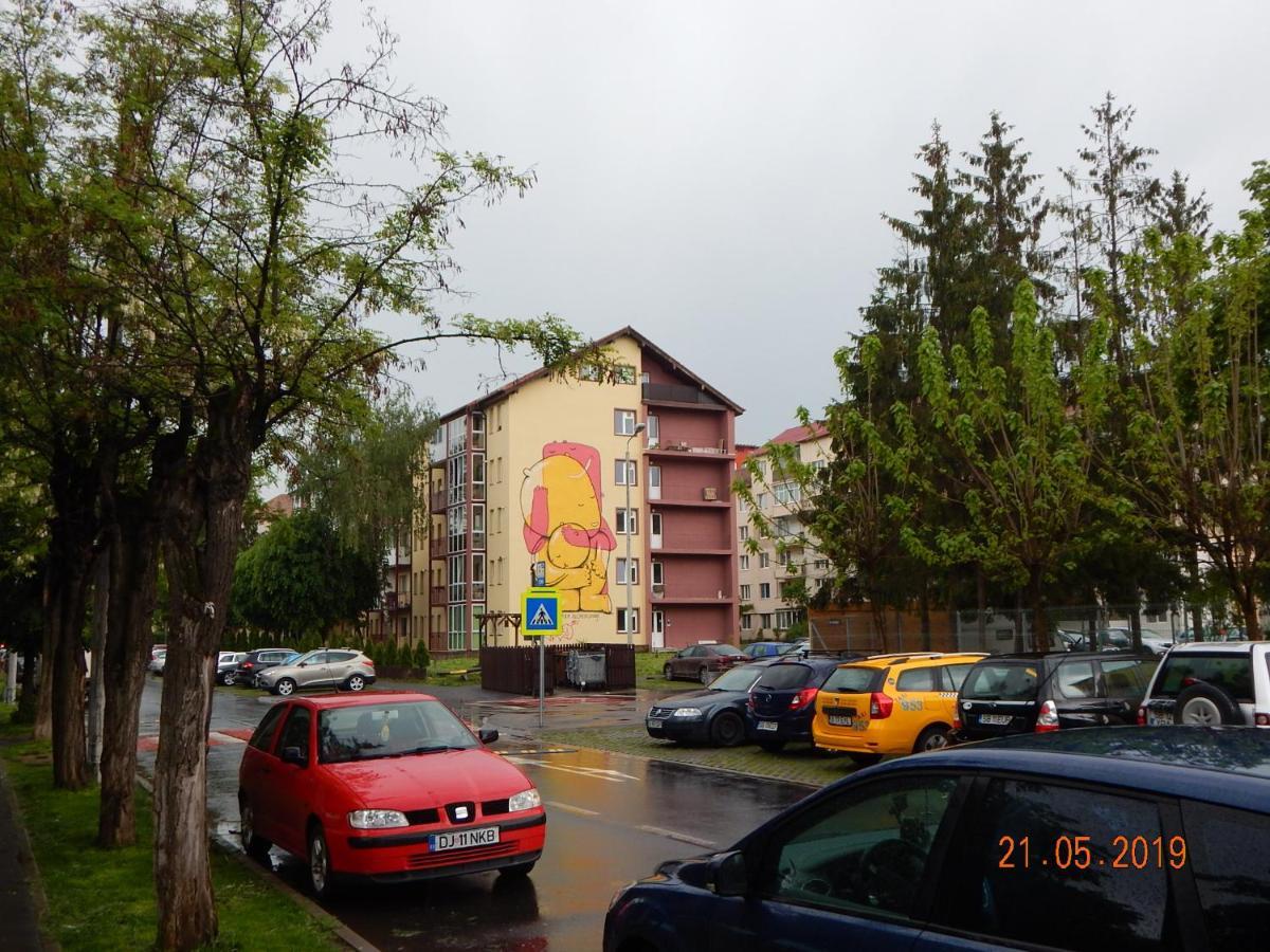Sibiu Home 1 Eksteriør billede