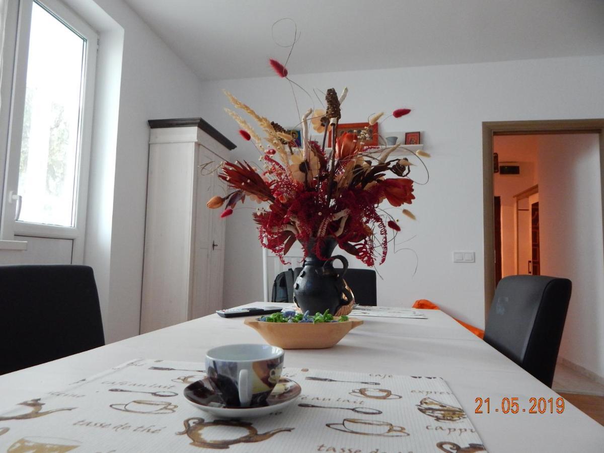 Sibiu Home 1 Eksteriør billede